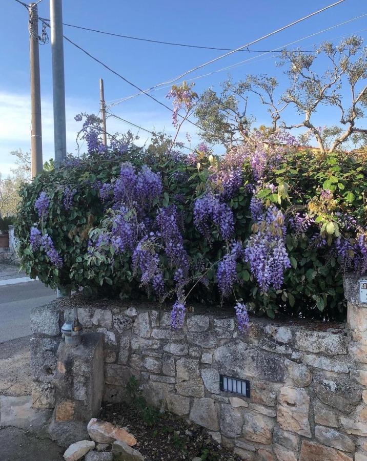 Vila Trulli Nonna Graziella Locorotondo Exteriér fotografie